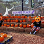 Hogan’s 3rd Annual Fall Festival & Pumpkin Patch