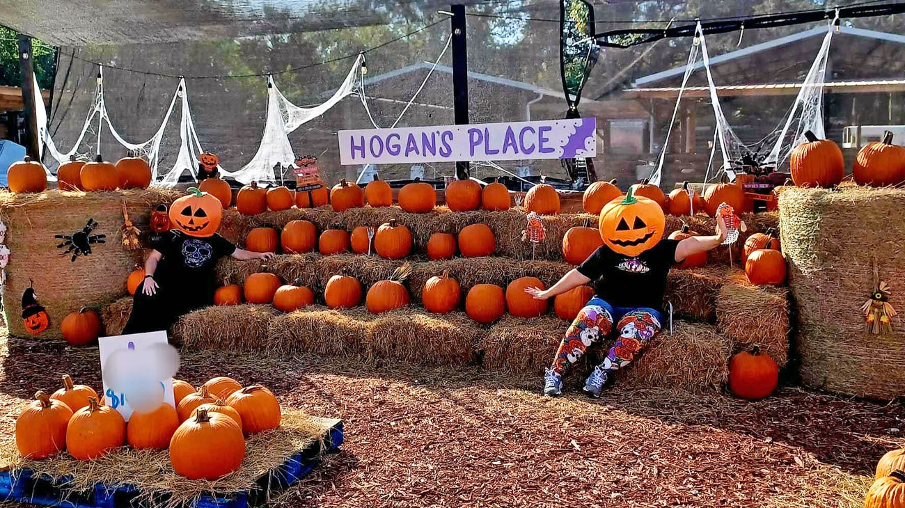 Hogan’s 3rd Annual Fall Festival & Pumpkin Patch